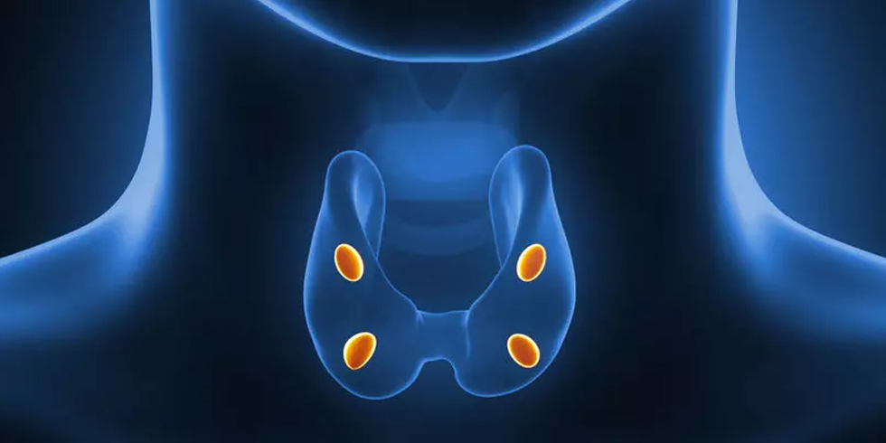 Ameliyatsız Paratiroid Adenom Tedavileri